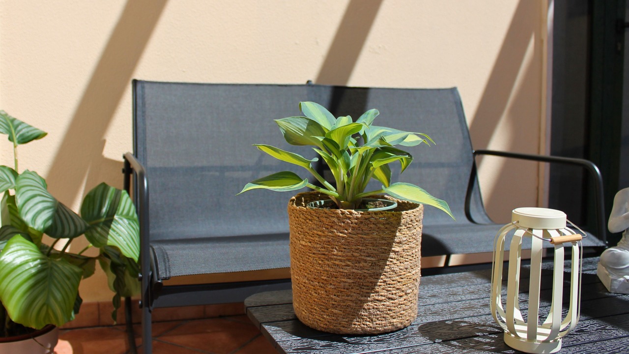 Photo of Outdoor in Guspini