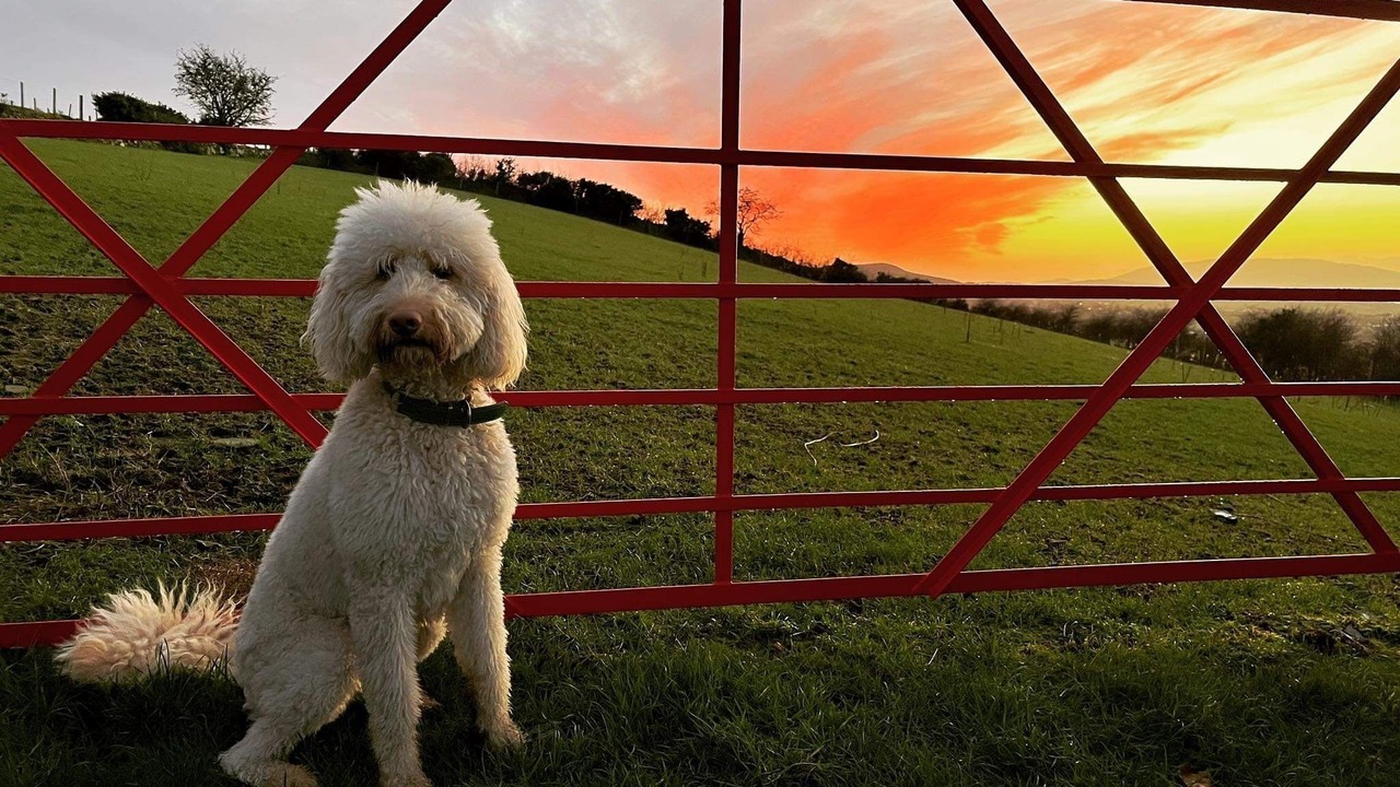 Photo of Outdoor in Hilltown