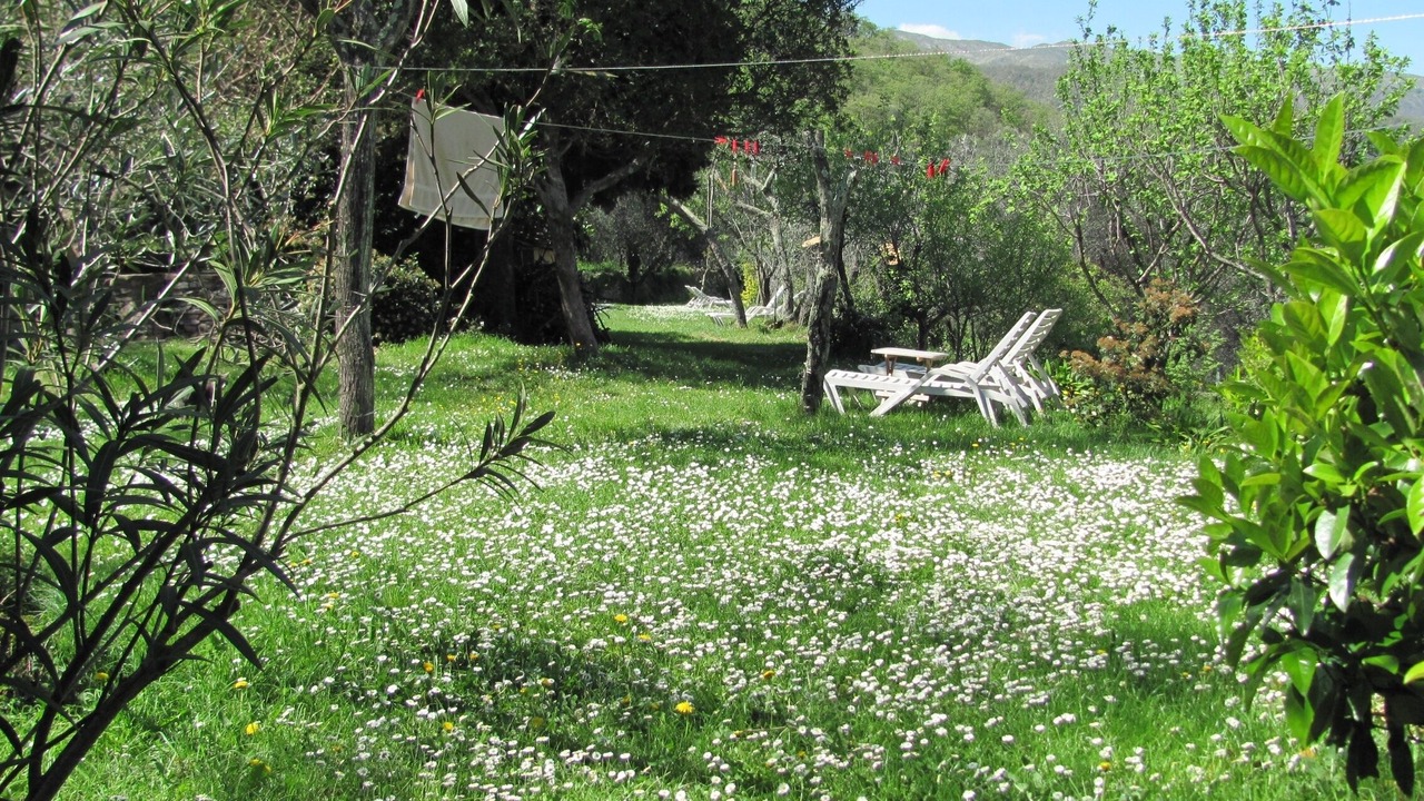 Photo of Outdoor in Dolcedo