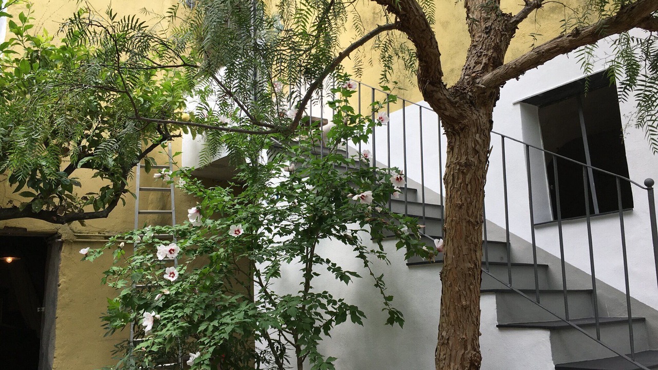 Photo of Outdoor in Dolcedo