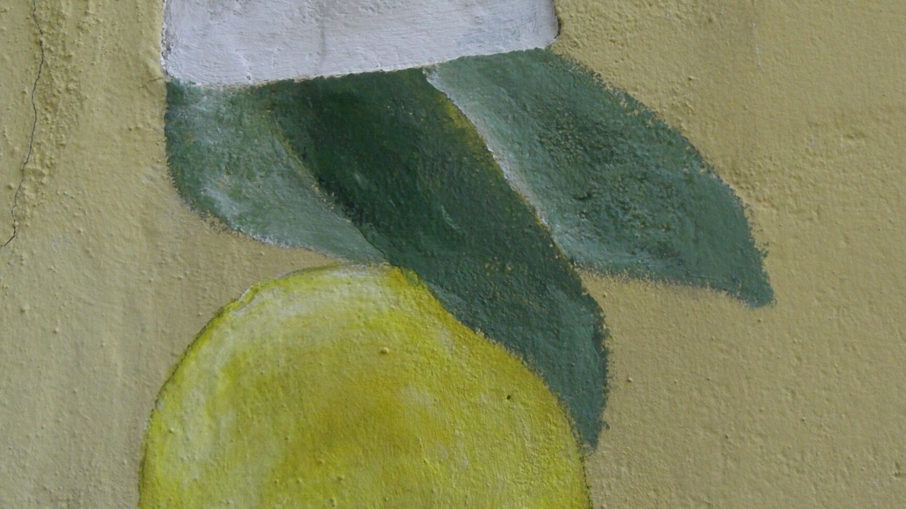 Photo of Others in Dolcedo