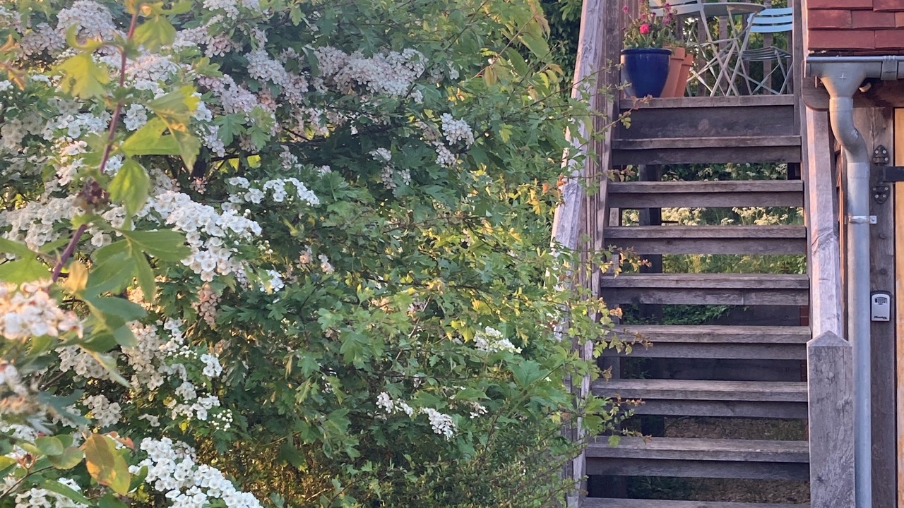 Photo of Outdoor in Dorchester-on-Thames