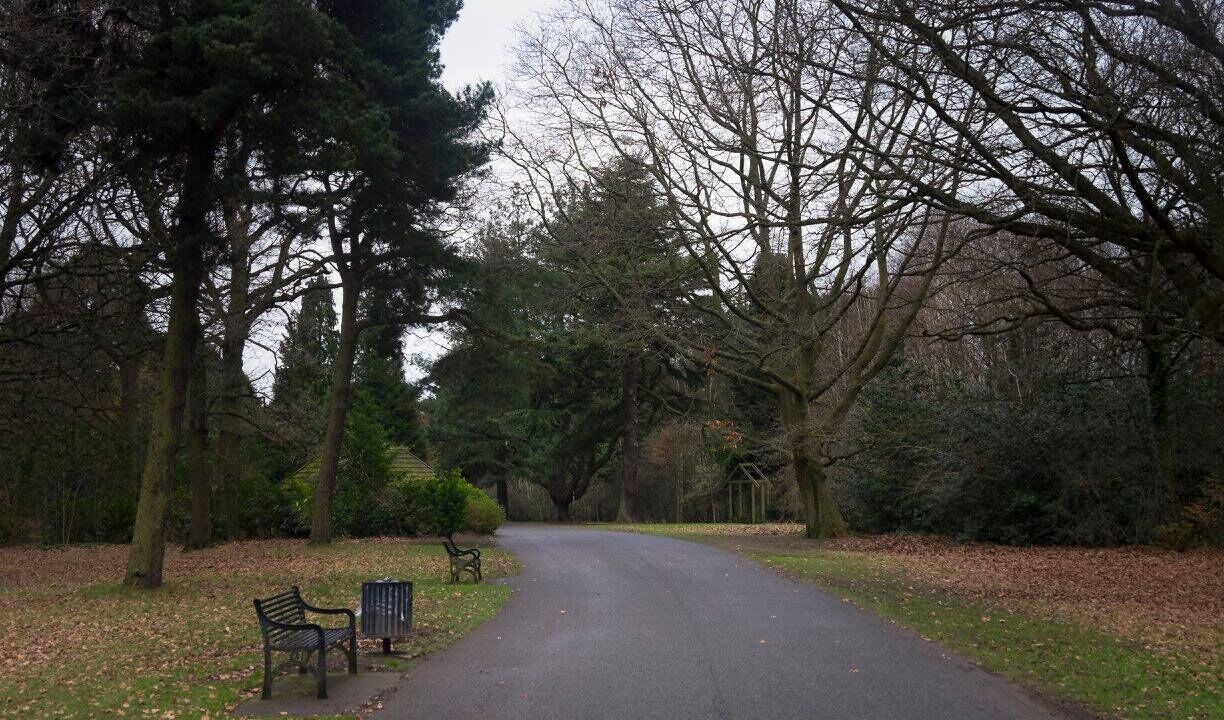 Photo of Others in Ormeau