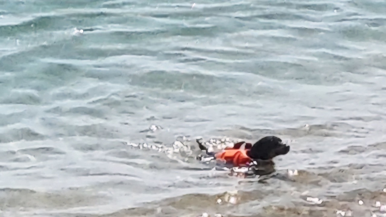 Photo of Others in Porto Recanati