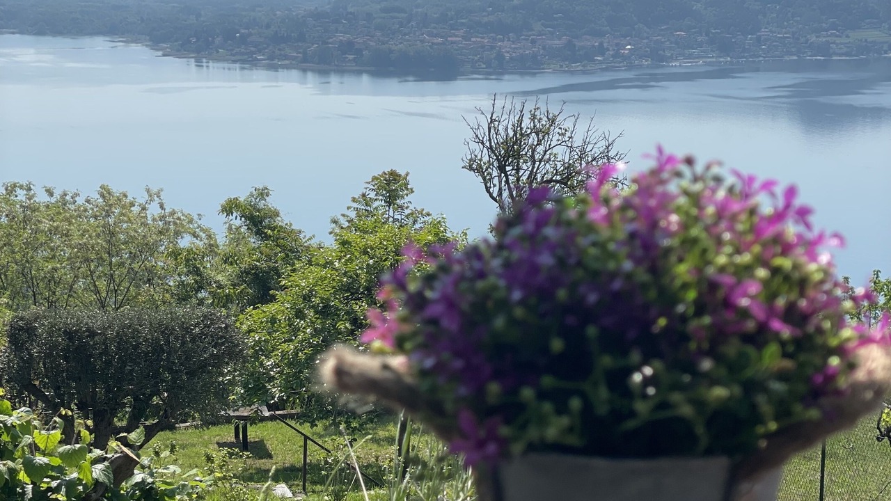 Photo of Outdoor in Massino Visconti