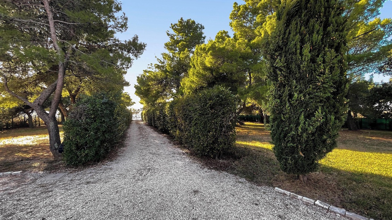 Photo of Outdoor in San Costanzo