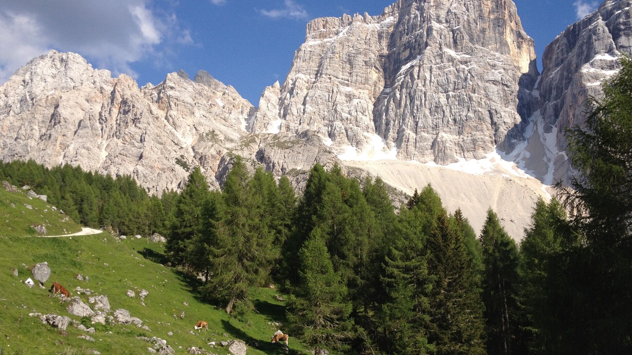 Photo of Others in Malga Ciapela