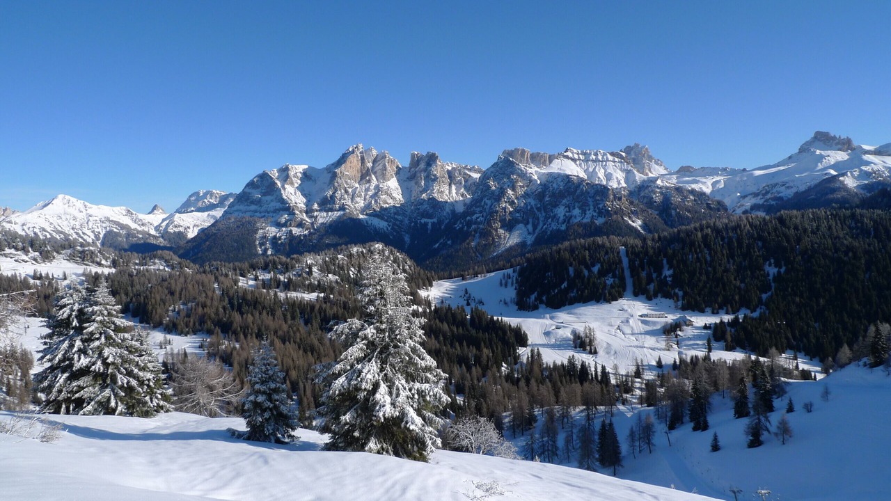 Photo of Others in Malga Ciapela