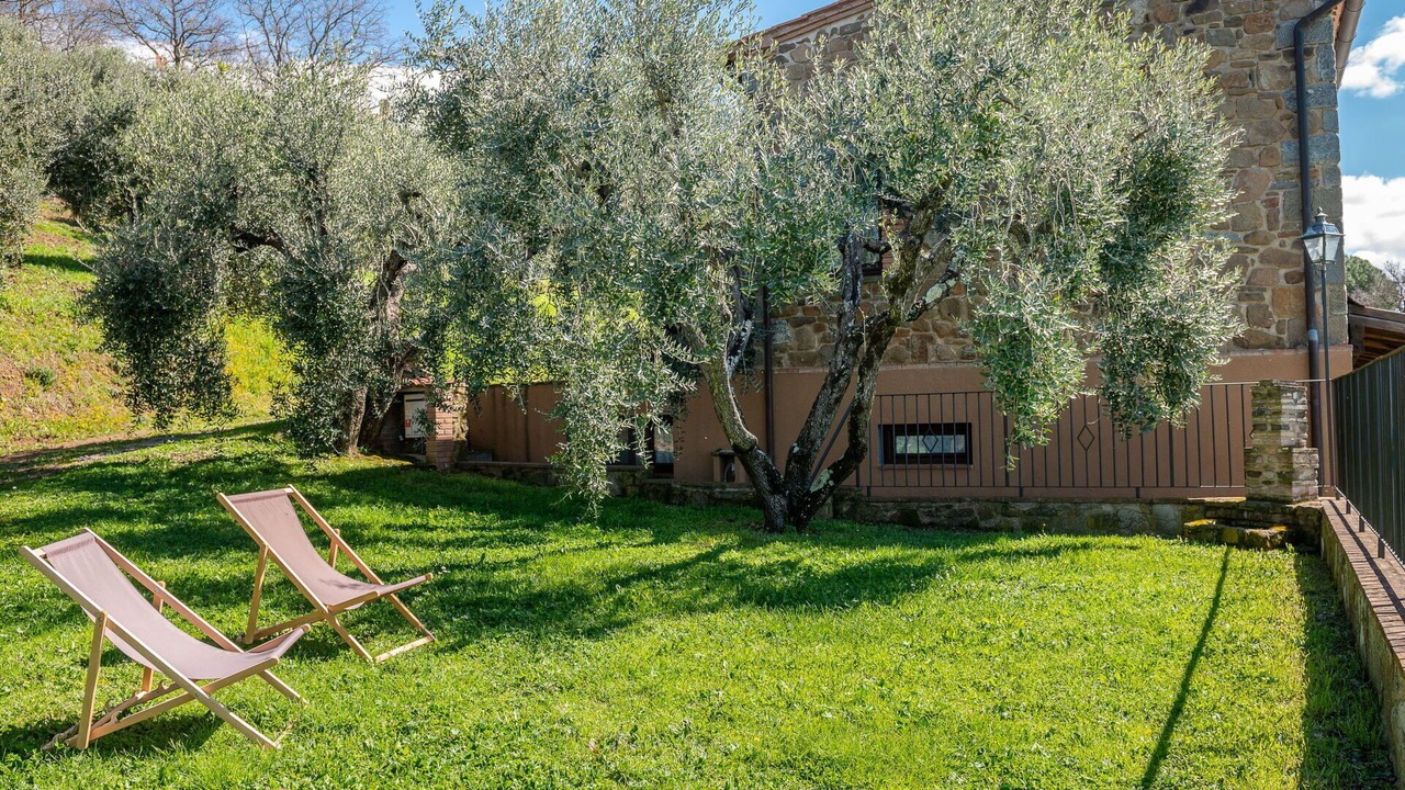 Photo of Outdoor in Scansano