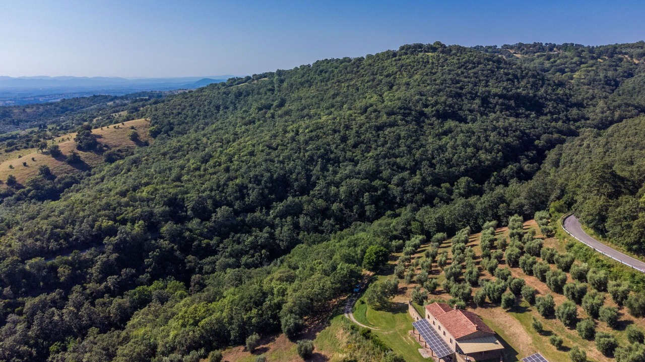 Photo of Others in Scansano