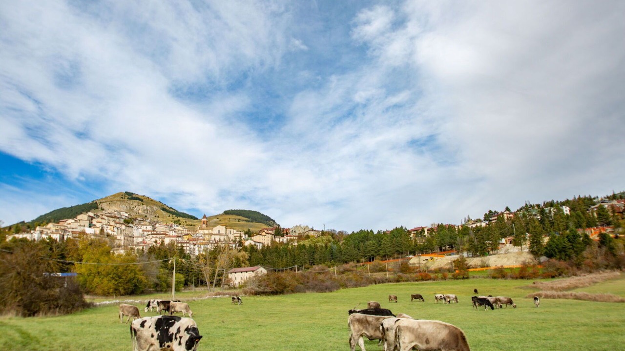 Photo of Others in Rivisondoli