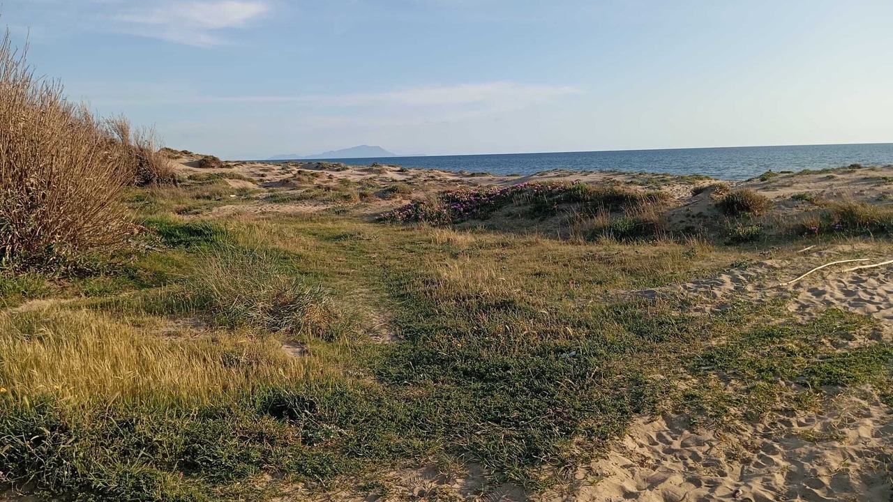Photo of Others in Mondragone