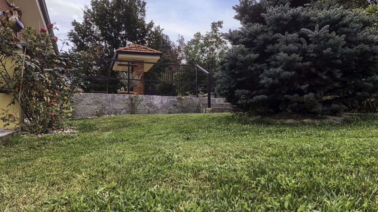 Photo of Others in Acqui Terme