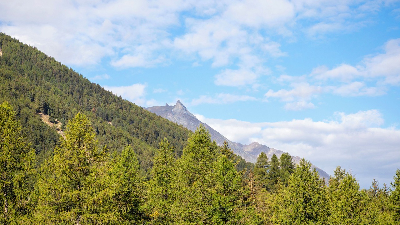Photo of Others in Cogne