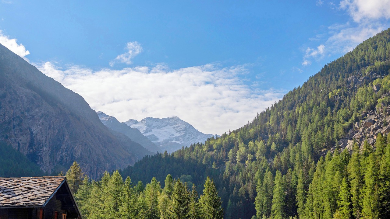Photo of Others in Cogne
