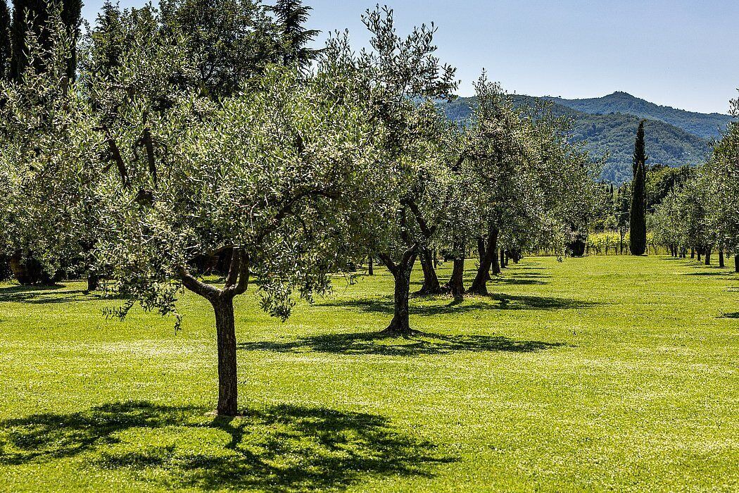 Photo of Others in Figline e Incisa Valdarno