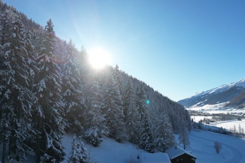 Photo of Others in Obergesteln