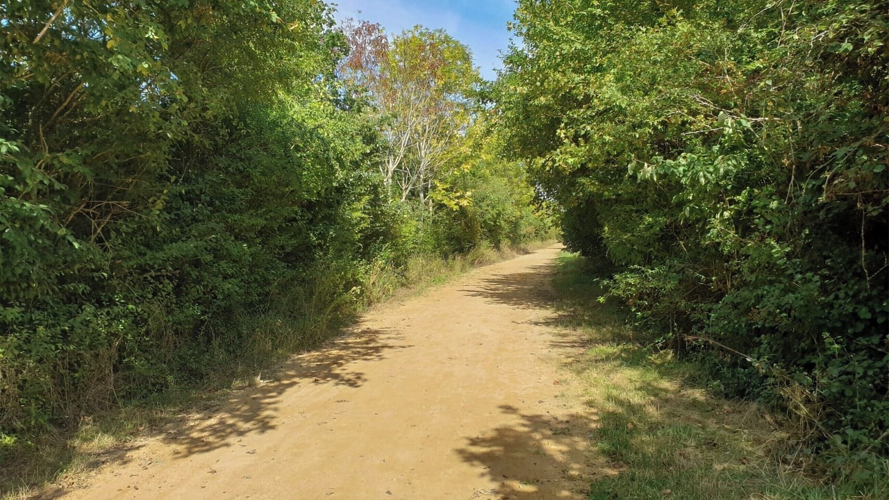 Photo of Others in Cambourne