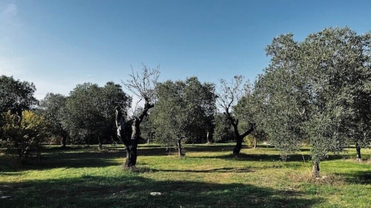 Photo of Outdoor in Specchiolla