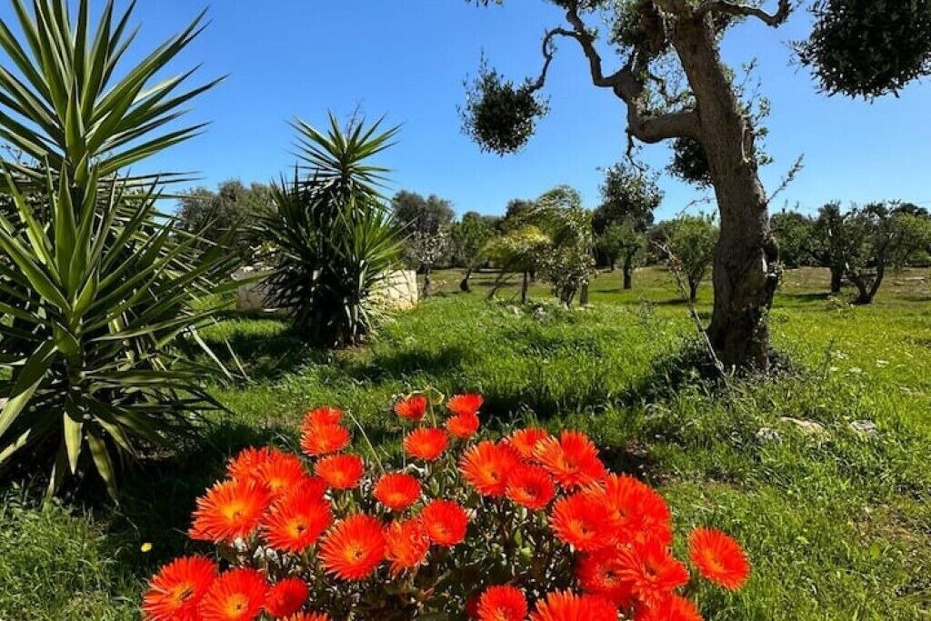 Photo of Outdoor in Carovigno