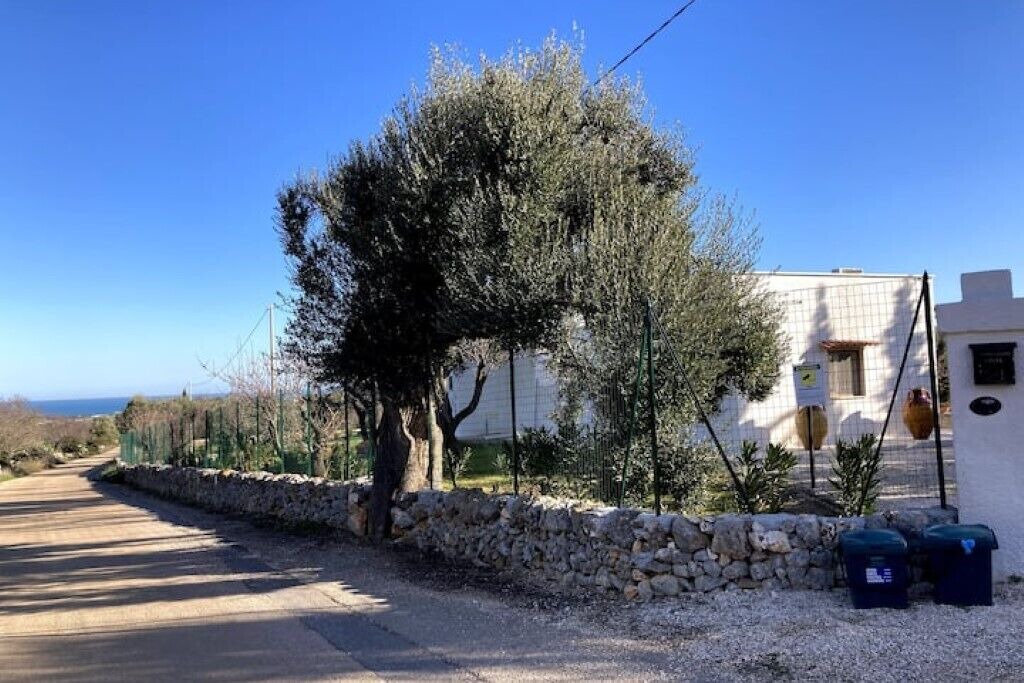 Photo of Outdoor in Carovigno