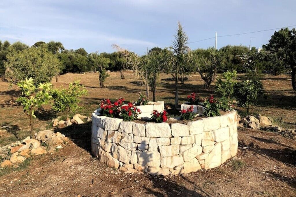 Photo of Outdoor in Carovigno