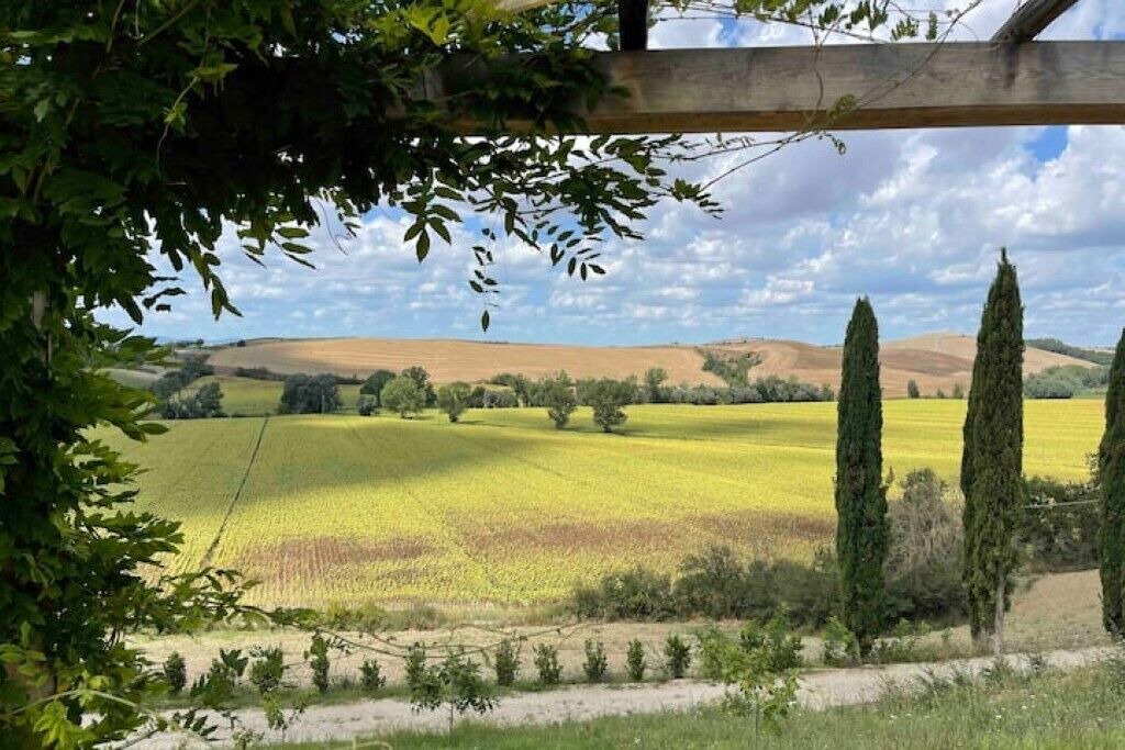 Photo of Others in Bollano