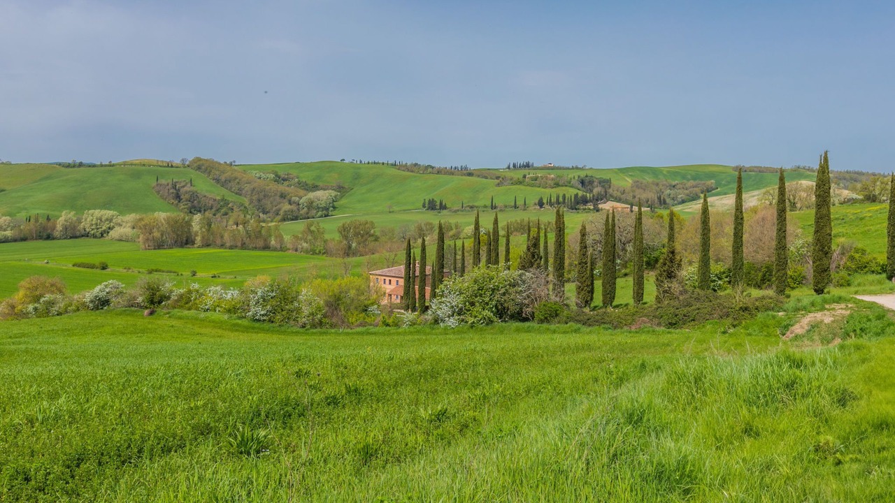 Photo of Others in Bollano