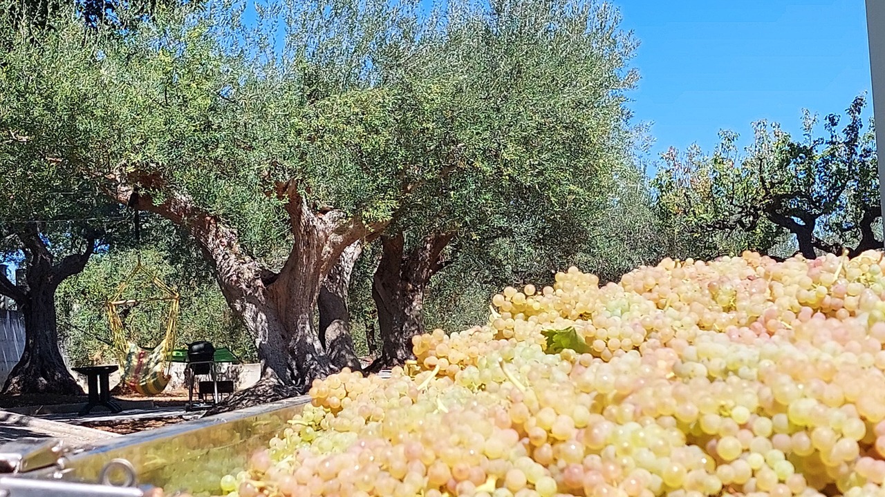 Photo of Outdoor in Santa Maria Imbaro
