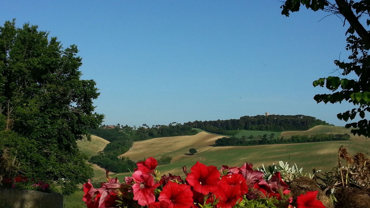 Photo of Outdoor in Loreto