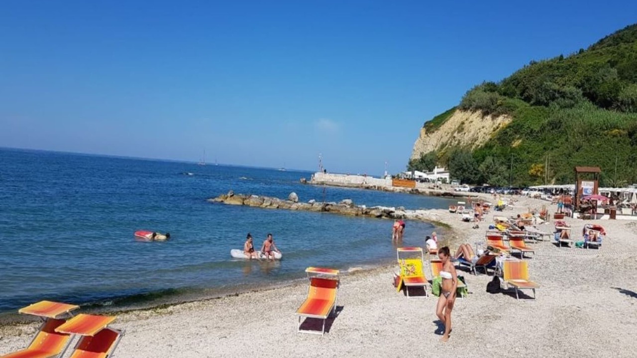 Photo of Others in Granarola