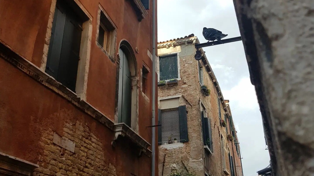 Photo of Outdoor in San Polo