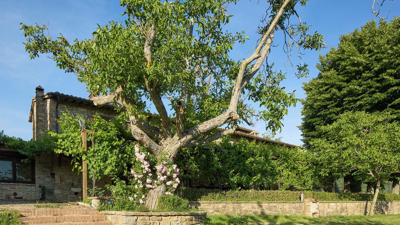 Photo of Outdoor in Mora