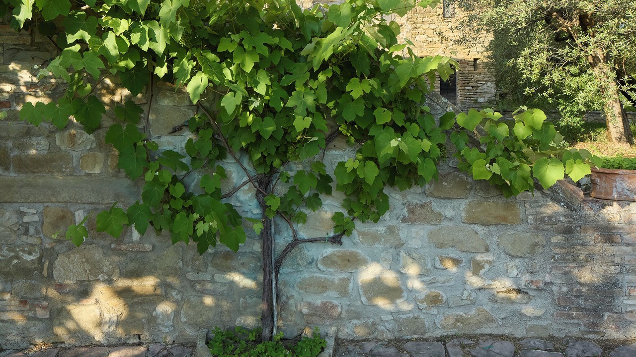 Photo of Outdoor in Mora