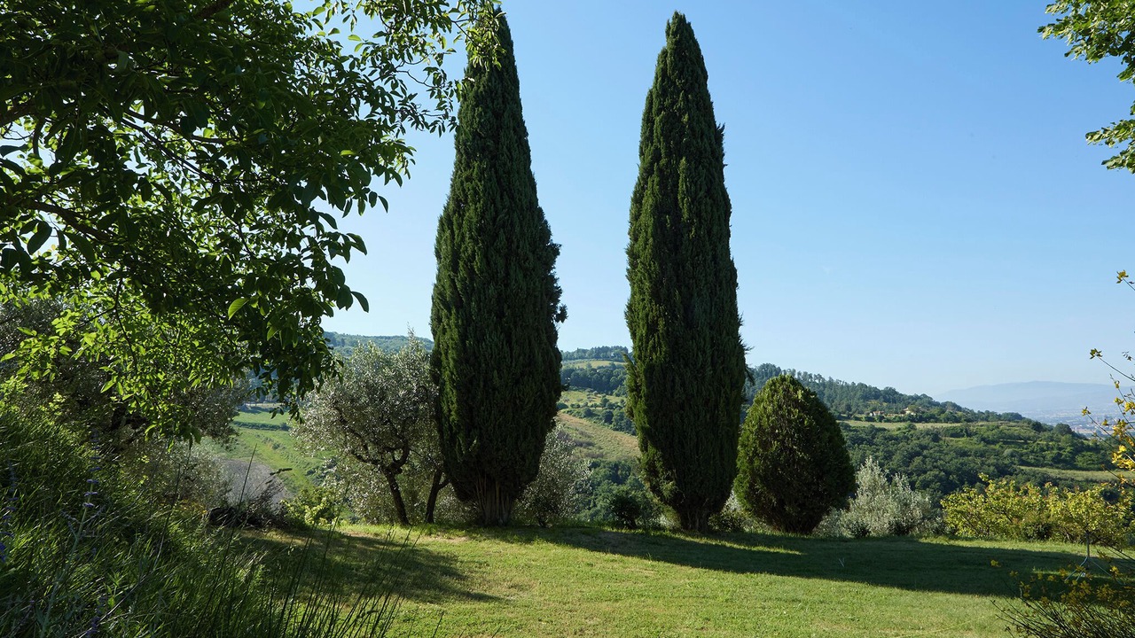 Photo of Outdoor in Mora