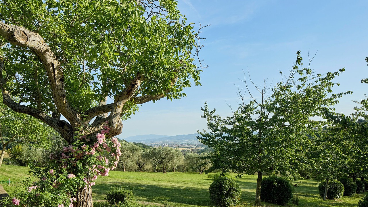 Photo of Outdoor in Mora