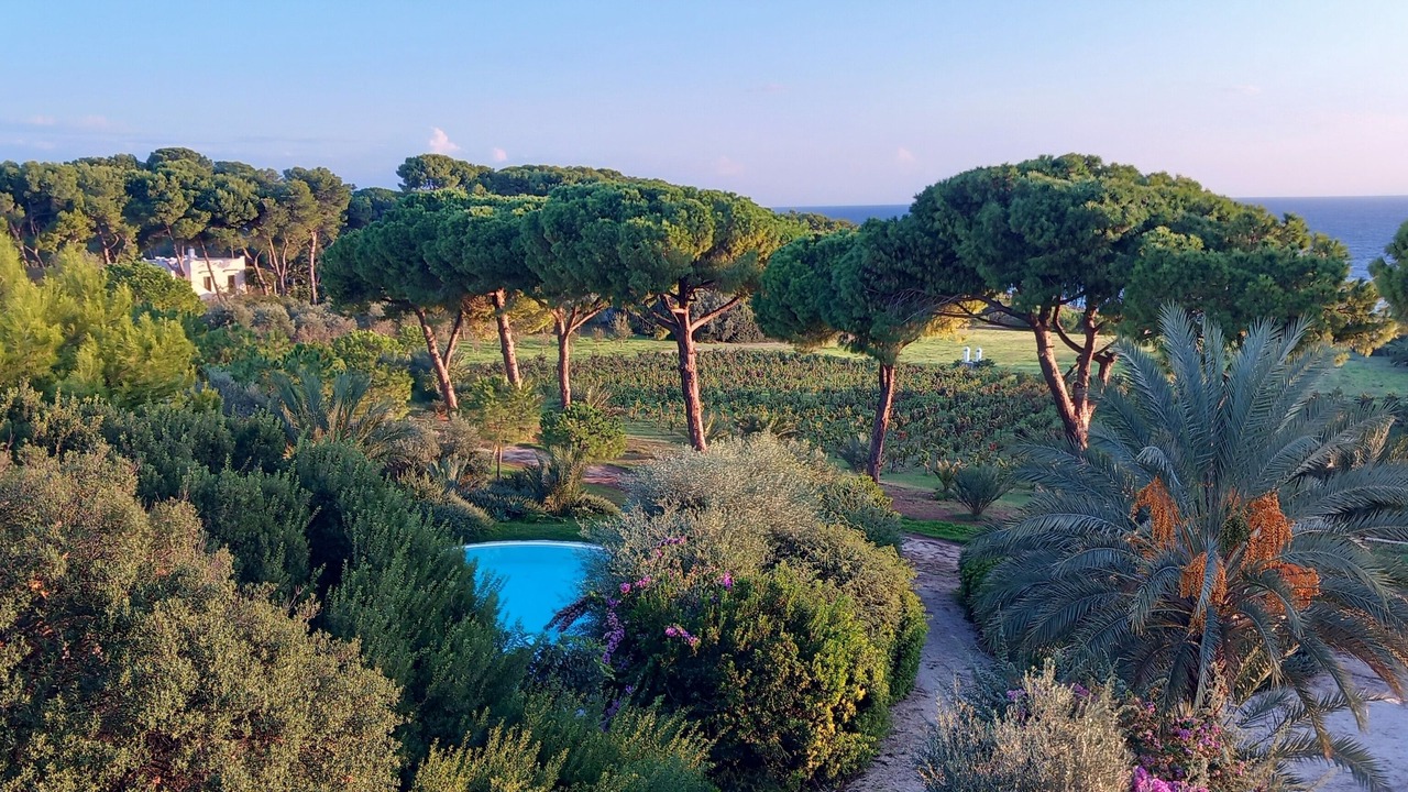 Photo of Outdoor in Taranto