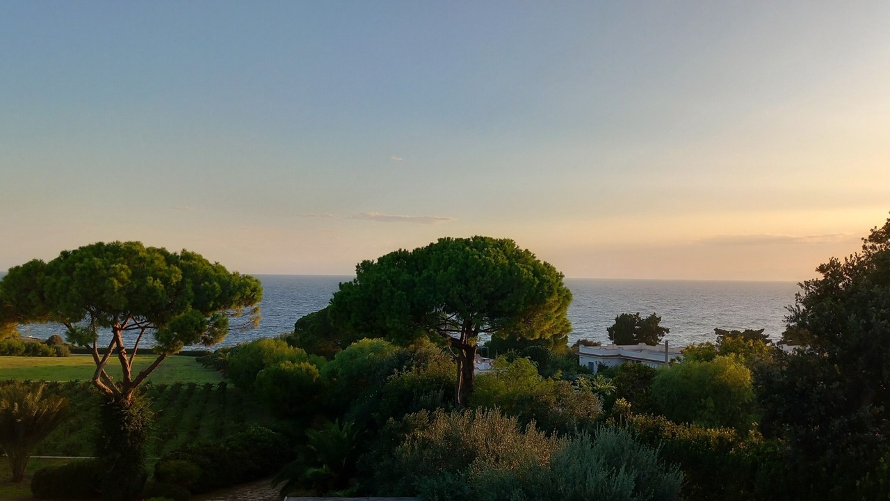 Photo of Others in Taranto