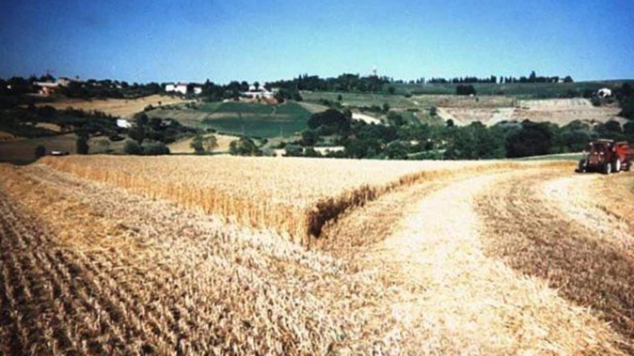 Photo of Others in Passano