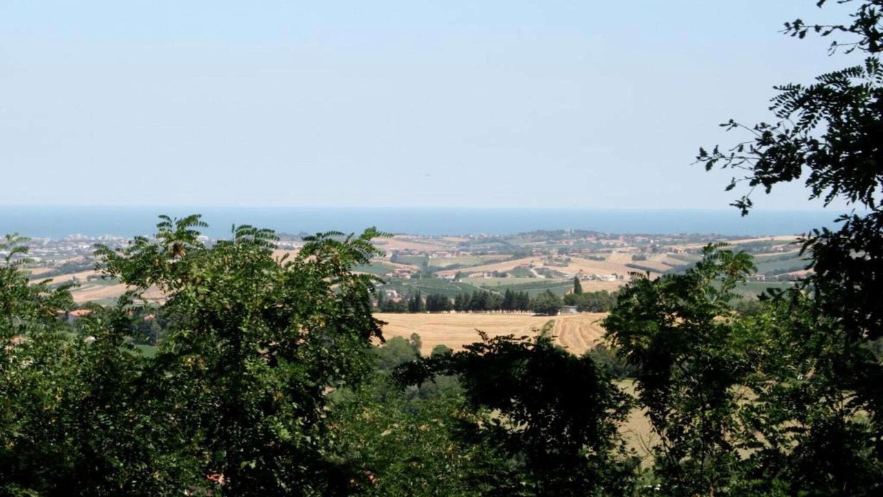 Photo of Others in Passano