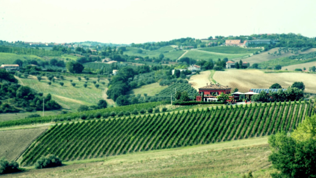 Photo of Others in Passano