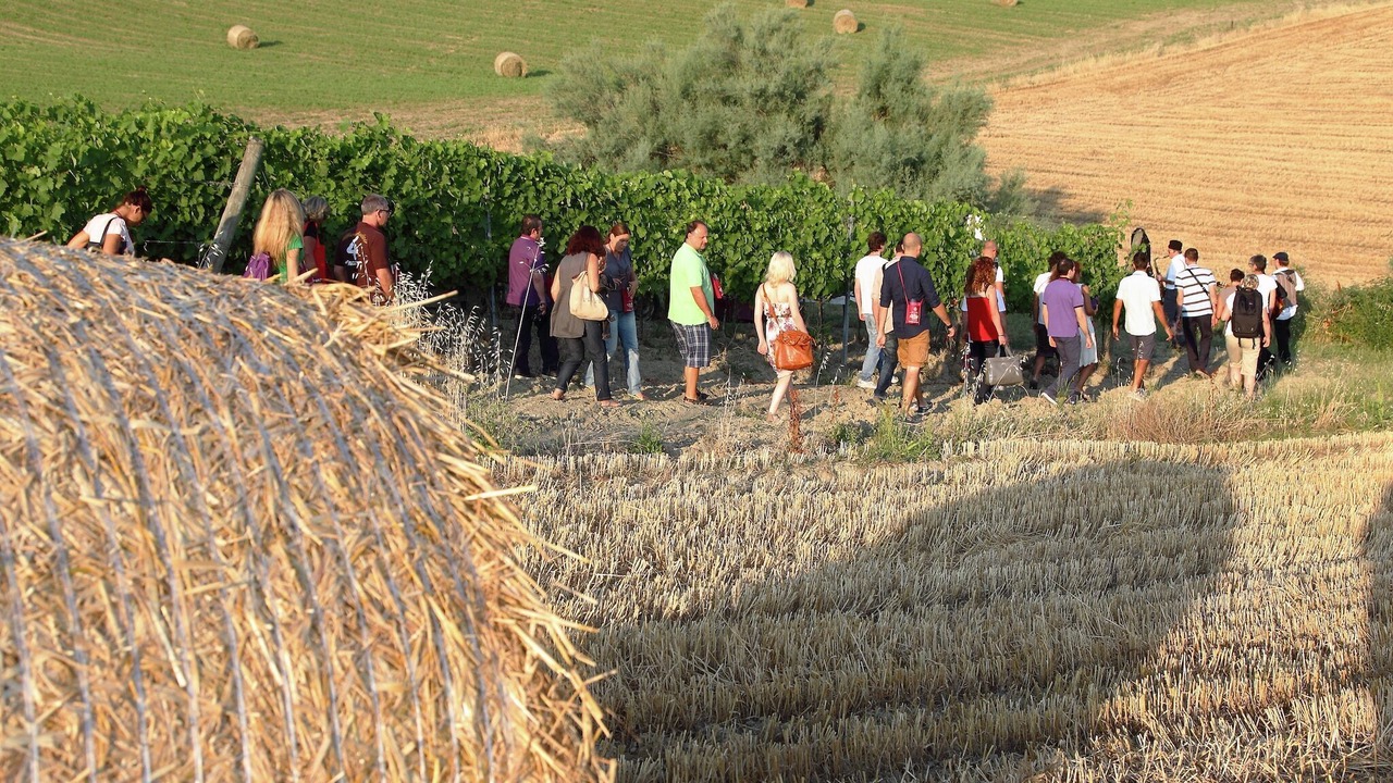 Photo of Others in Passano