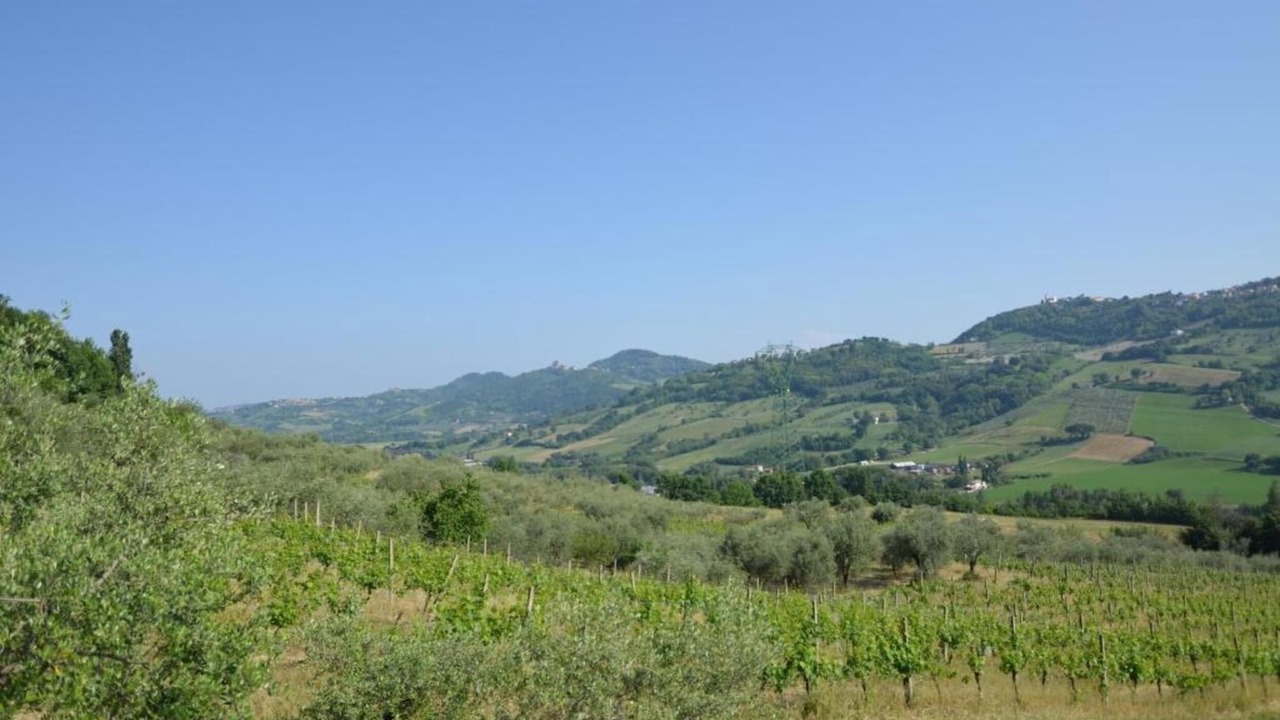 Photo of Others in Passano