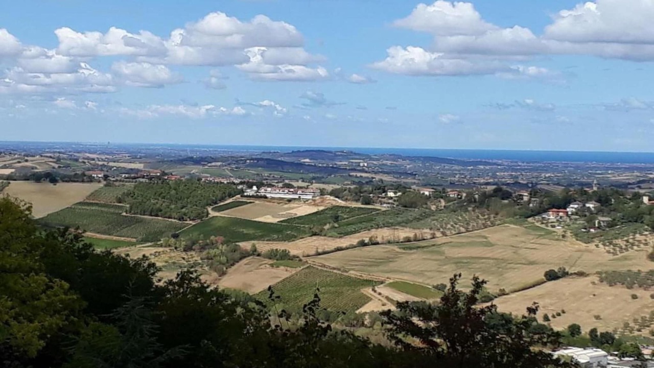 Photo of Others in Passano
