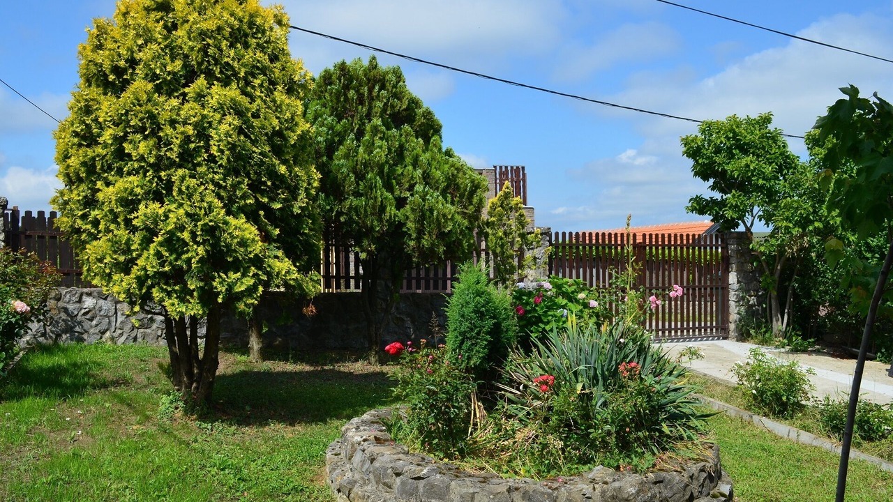 Photo of Outdoor in Belgrade