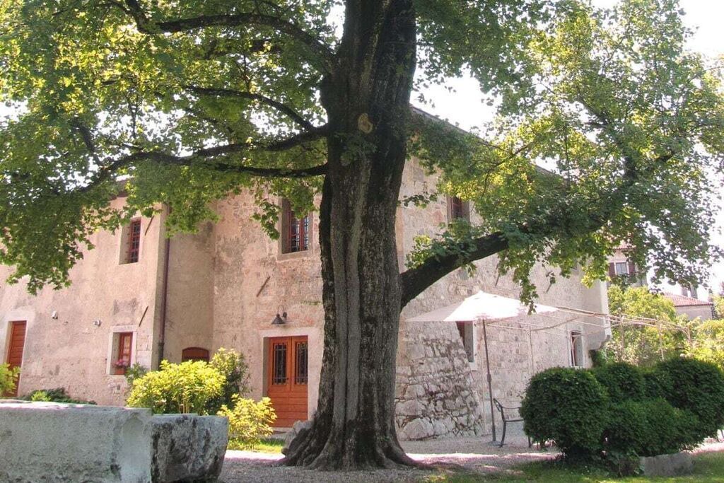 Photo of Outdoor in Strassoldo