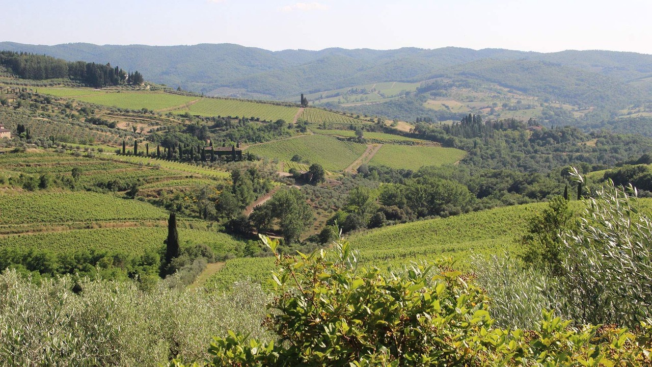 Photo of Others in Panzano in Chianti