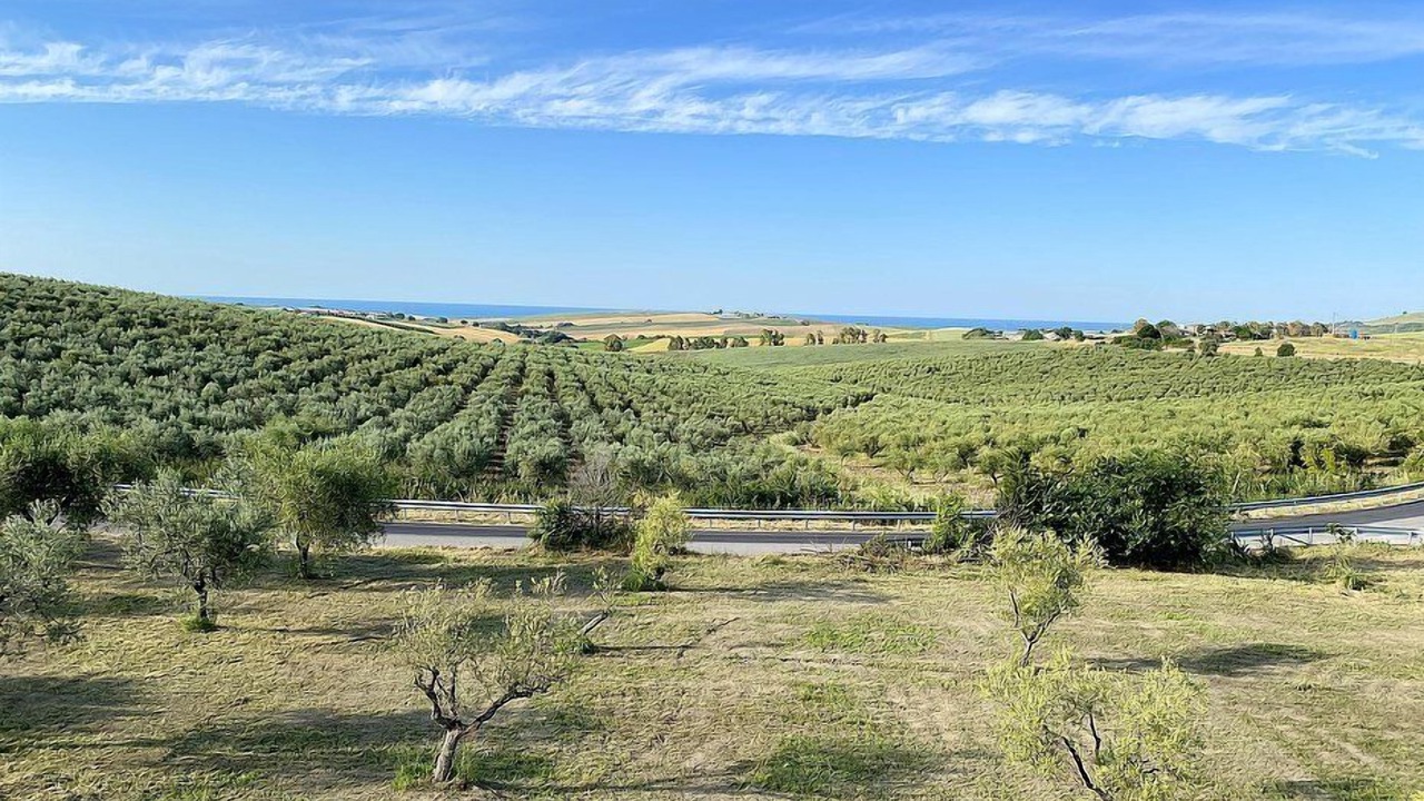 Photo of Outdoor in Petacciato