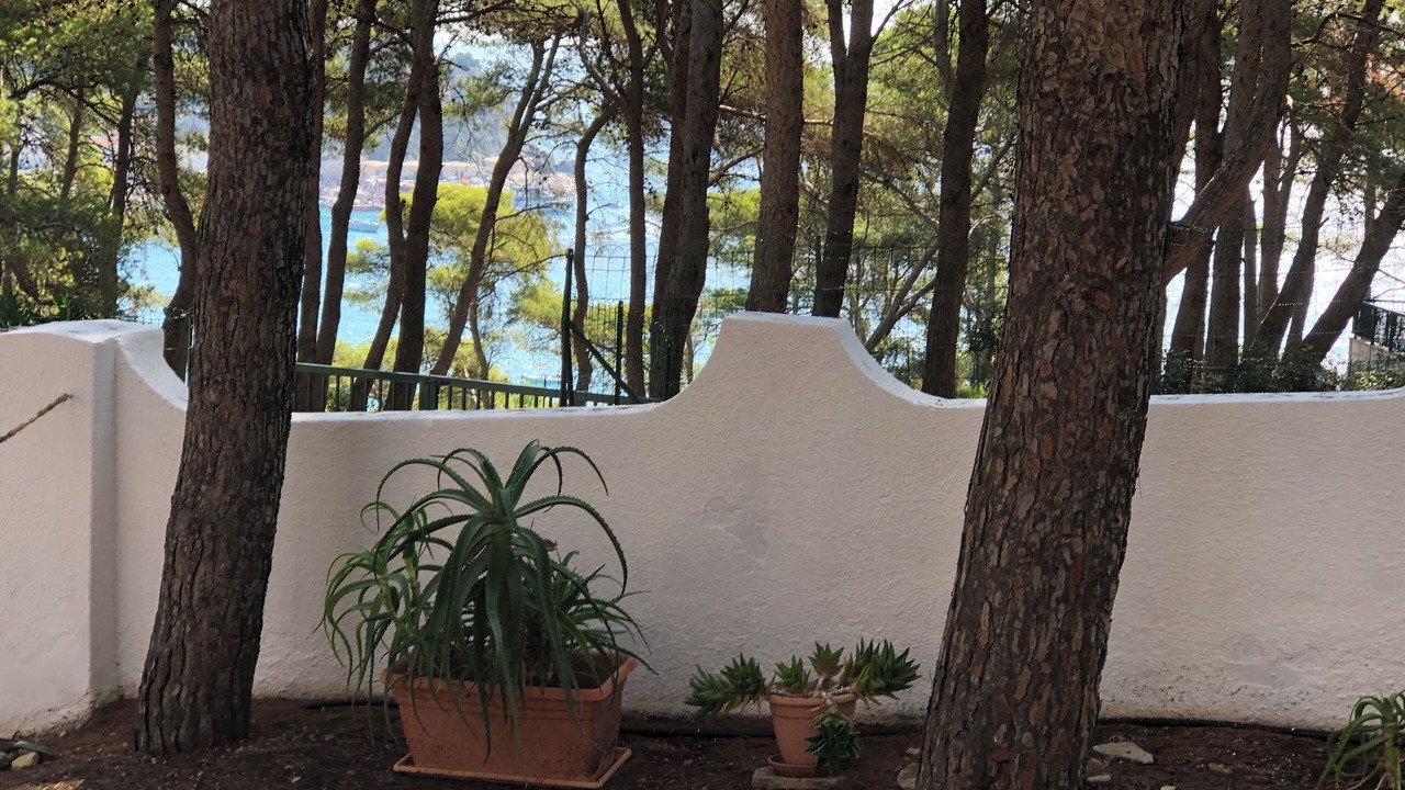Photo of Outdoor in Tremiti Islands