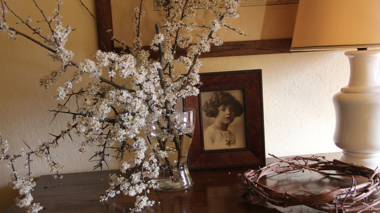 Photo of Others in Pieve Santo Stefano